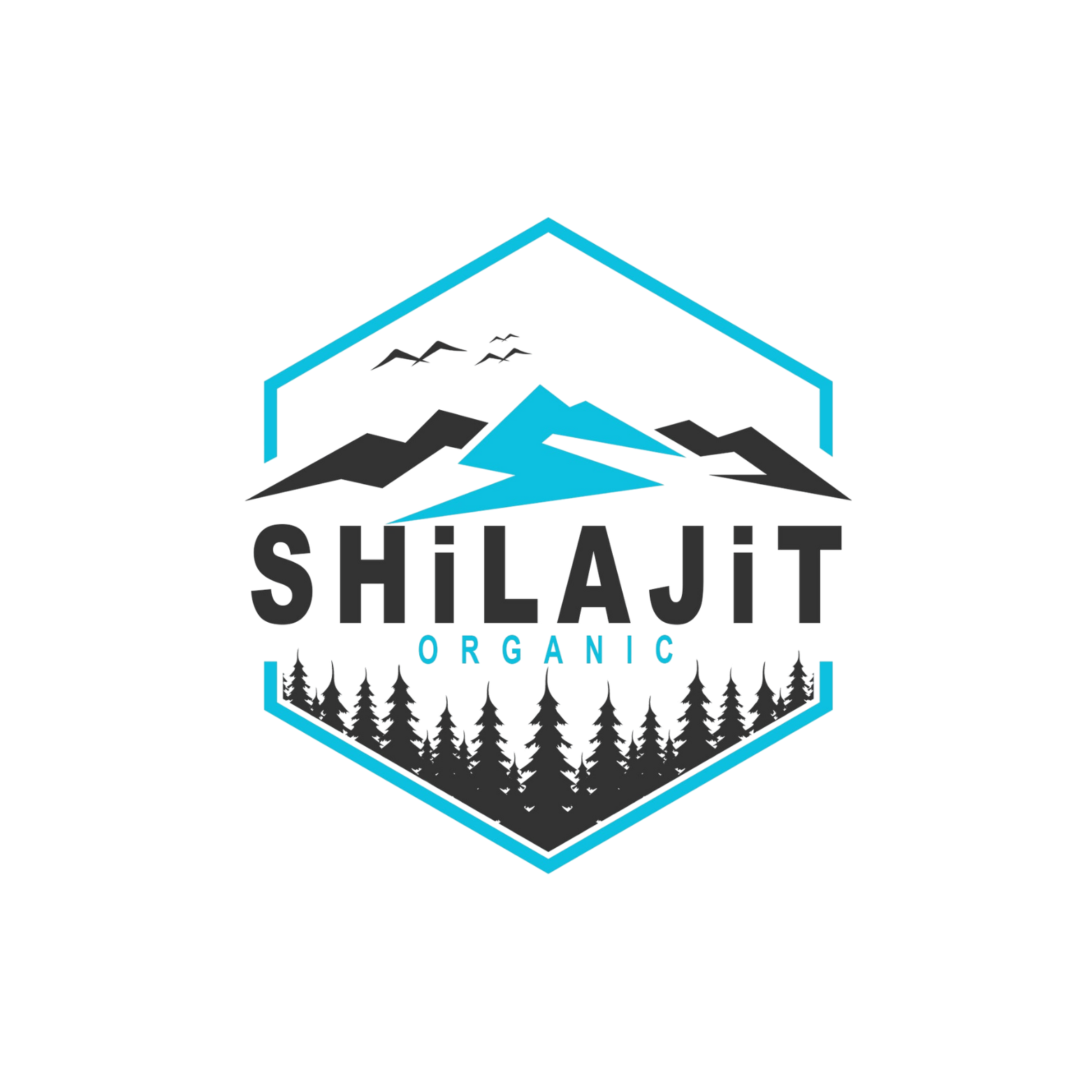 SHILAJITAFTABI.COM